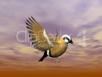 Finch bird flying - 3D render