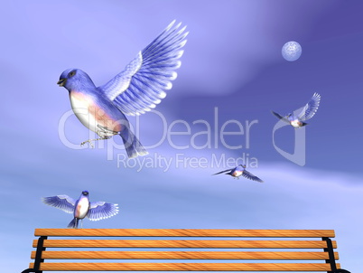 Eastern blue birds upon a behcn - 3D render