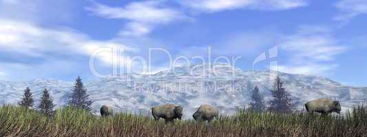 Bisons in the nature - 3D render