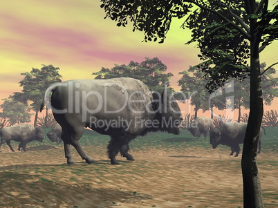 Bisons in the nature - 3D render