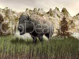 Bison in the nature - 3D render