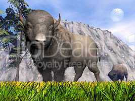 Bisons in the nature - 3D render