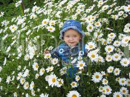 beautiful child in the flower-bed of camomiles