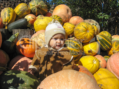 baby sitting on the pumpkins