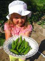The little girl with a plate of peas