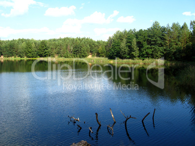 picturesque lake in forest