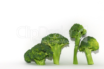 vier brokoli rechts auf weiss