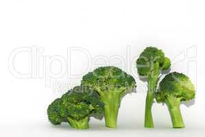 vier brokoli rechts auf weiss