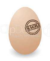 fragile egg