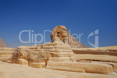 sphinx in aegypten ansicht