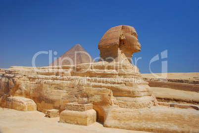 sphinx seitenansicht in aegypten
