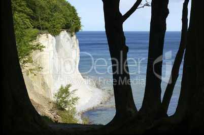 Kreidefelsen auf Rügen