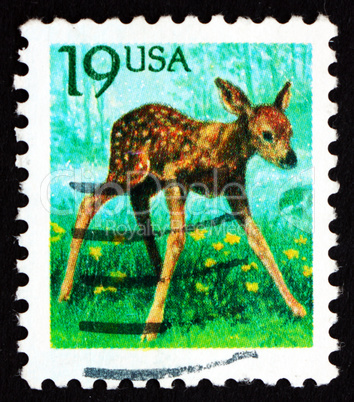 postage stamp usa 1991 fawn, young deer