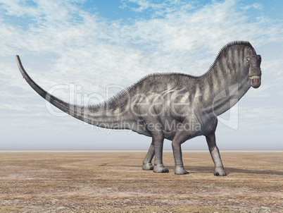 Amargasaurus