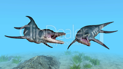 Liopleurodon