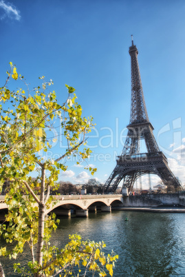 Beautiful view of Eiffel Tower with vegetation