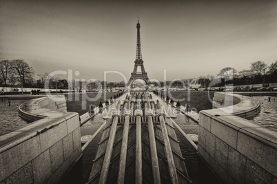 Beautiful view of Eiffel Tower with vegetation