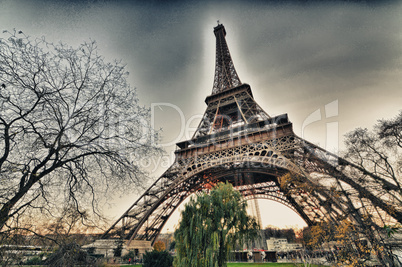 Beautiful view of Eiffel Tower with vegetation