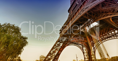 Beautiful view of Eiffel Tower with vegetation