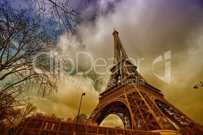 Beautiful view of Eiffel Tower with vegetation
