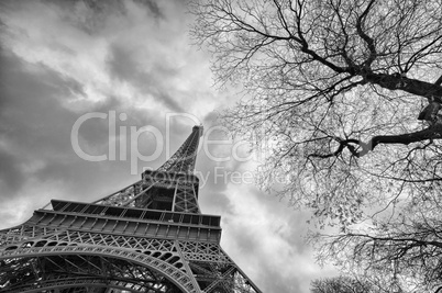 Beautiful view of Eiffel Tower with vegetation