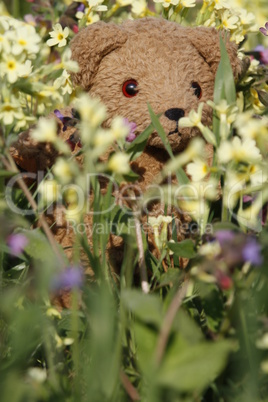 Teddybär mit Blümchen