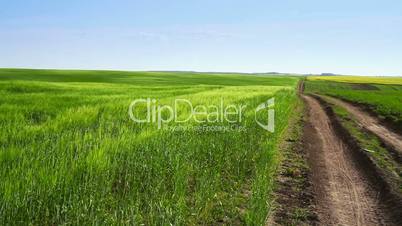 road, field and blue sky