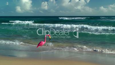 Plastic flamingo on Isabel Beach