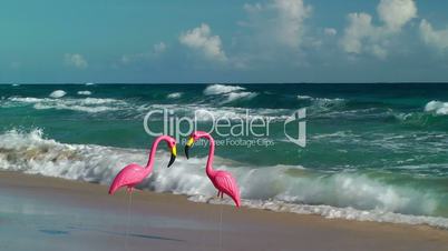 Two plastic flamingos on Isabel Beach