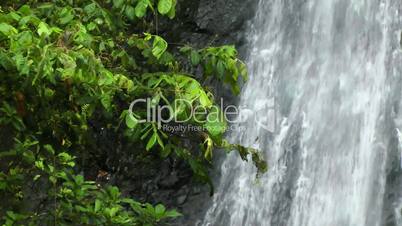 Waterfall in  Rainforest