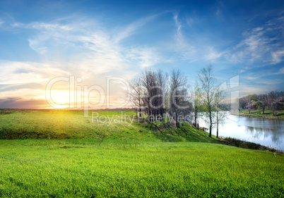 Spring landscape