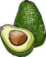 avocado fruit cartoon illustration
