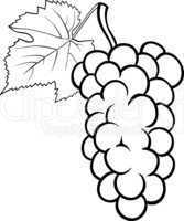 grapes illustration for coloring book