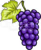 blue grapes fruit cartoon illustration
