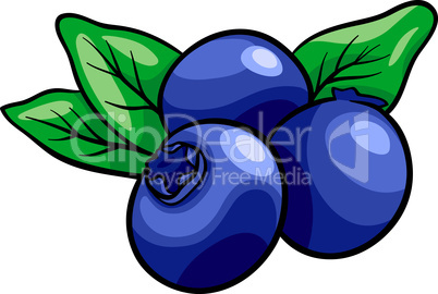 blueberry fruits cartoon illustration