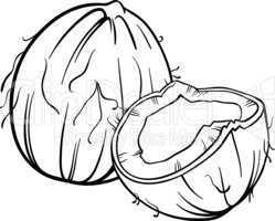 coconut illustration for coloring book