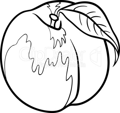 peach illustration for coloring book