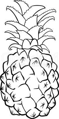 pineapple fruit for coloring book