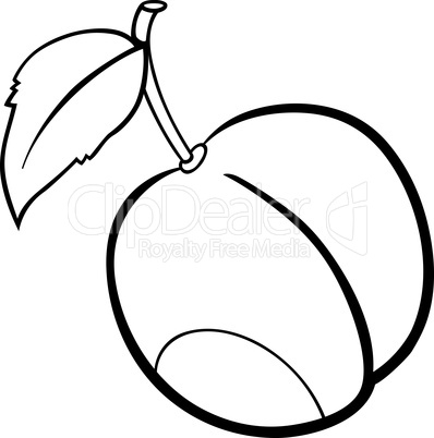 plum fruit illustration for coloring book