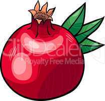 pomegranate fruit cartoon illustration