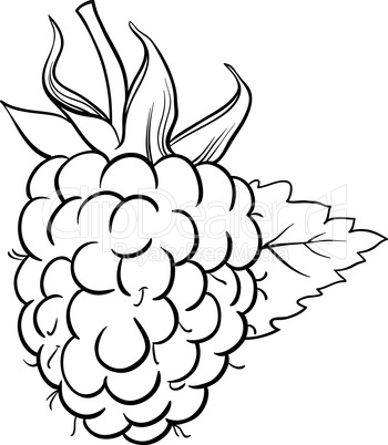 raspberry illustration for coloring book