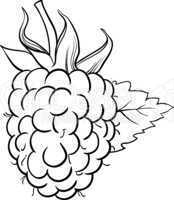 raspberry illustration for coloring book