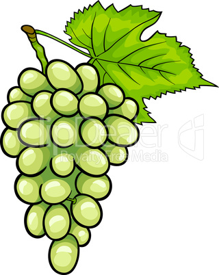 white grapes fruit cartoon illustration