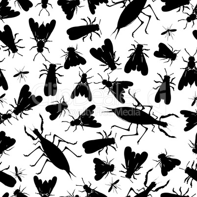 insect seamless pattern
