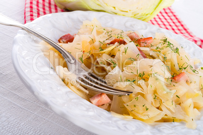 tasty braised cabbage vegetables