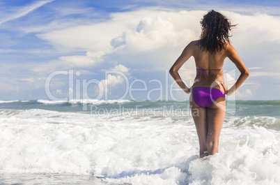 Rear View Beautiful Bikini Woman At Beach