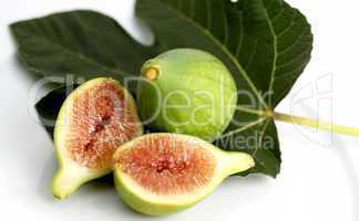 Green Fig