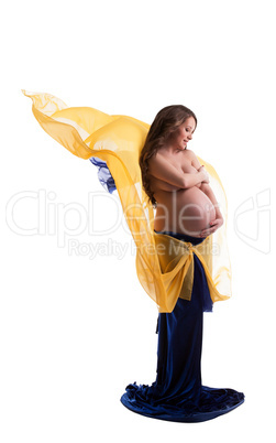 Beautiful pregnant woman posing with veil