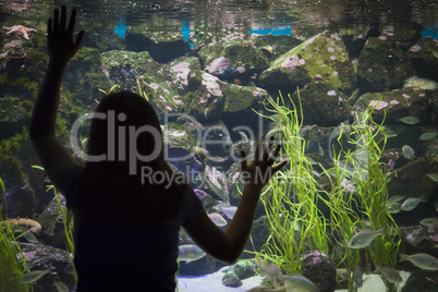 Young Girl Standing Up Against Large Aquarium Observation Glass