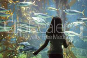 Young Girl Standing Up Against Large Aquarium Observation Glass